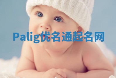 Palig优名通起名网