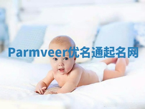 Parmveer优名通起名网