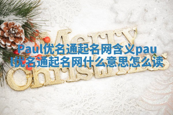 Paul优名通起名网含义_paul优名通起名网什么意思怎么读