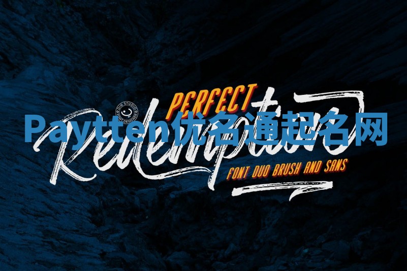 Paytten优名通起名网