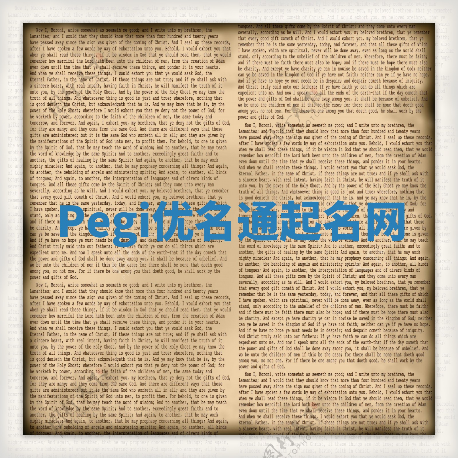 Pegi优名通起名网