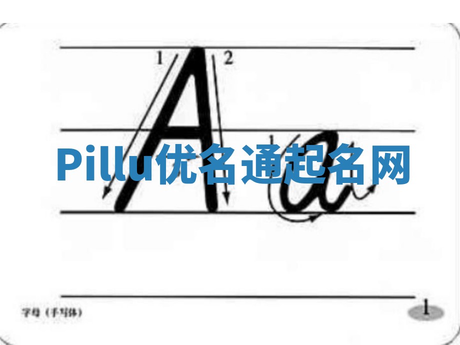 Pillu优名通起名网
