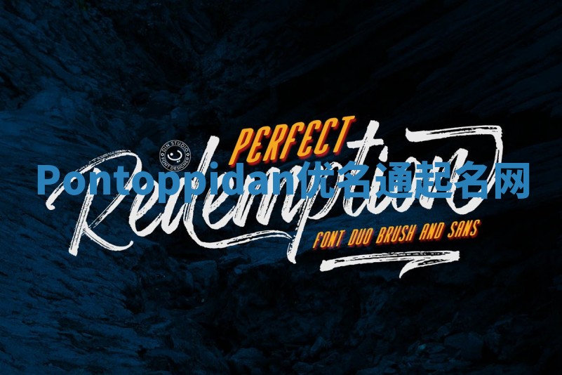 Pontoppidan优名通起名网