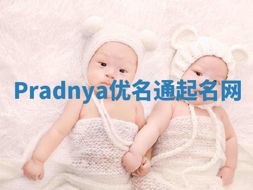 Pradnya优名通起名网