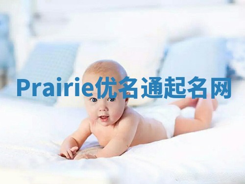 Prairie优名通起名网