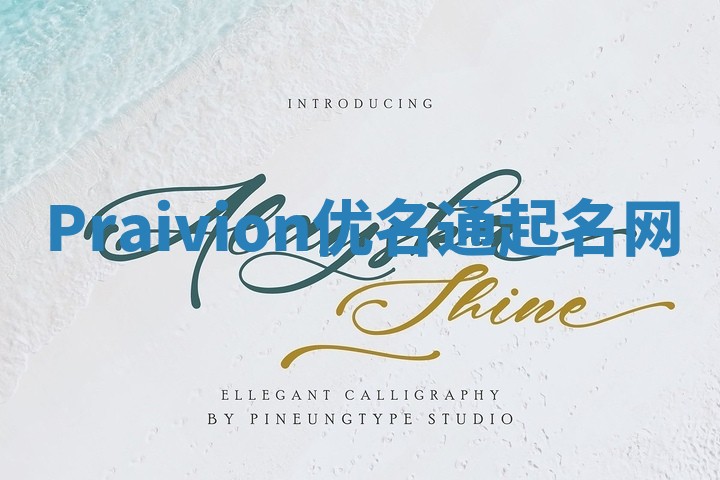 Praivion优名通起名网
