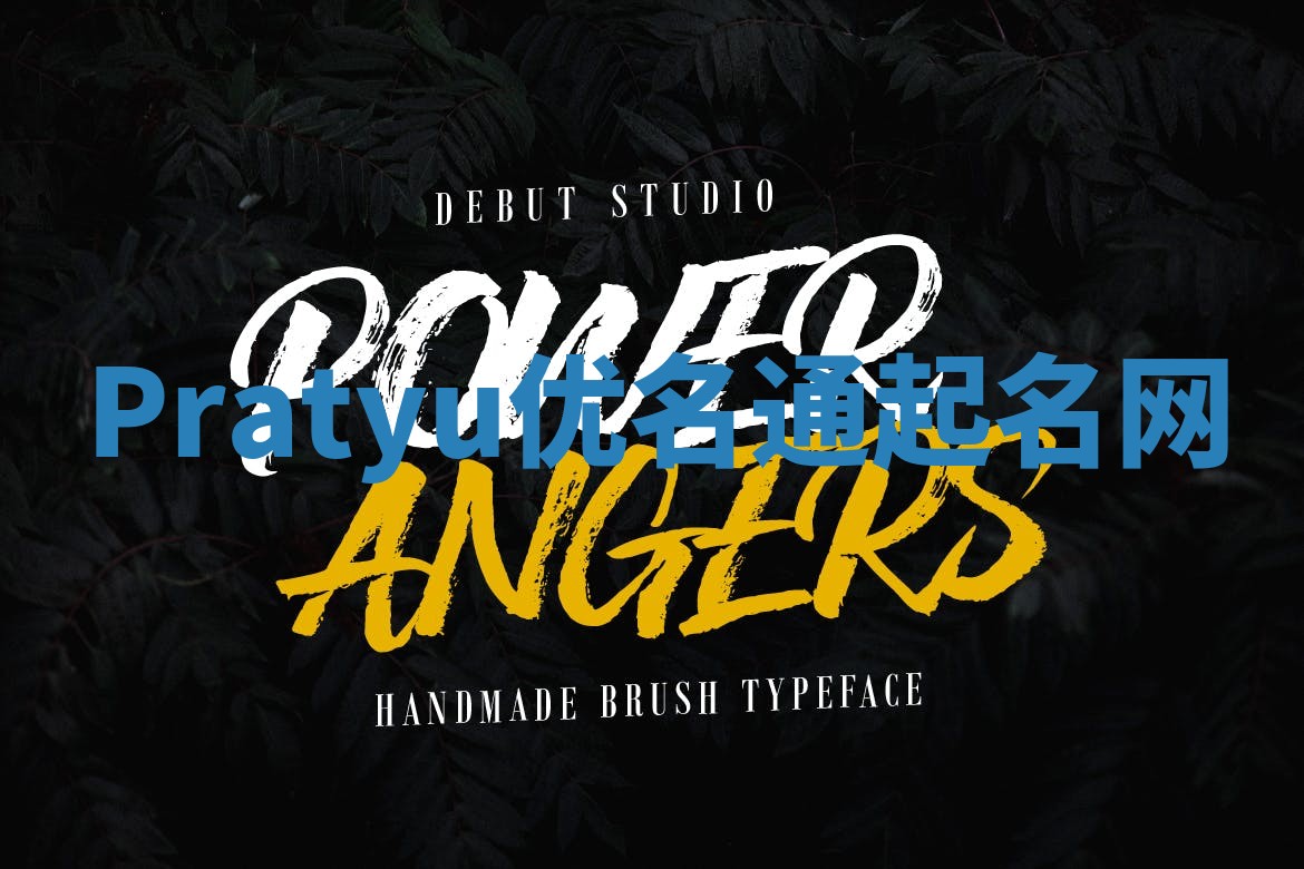 Pratyu优名通起名网