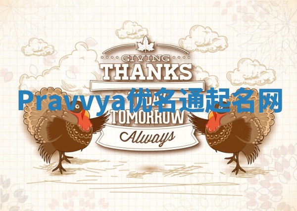 Pravvya优名通起名网