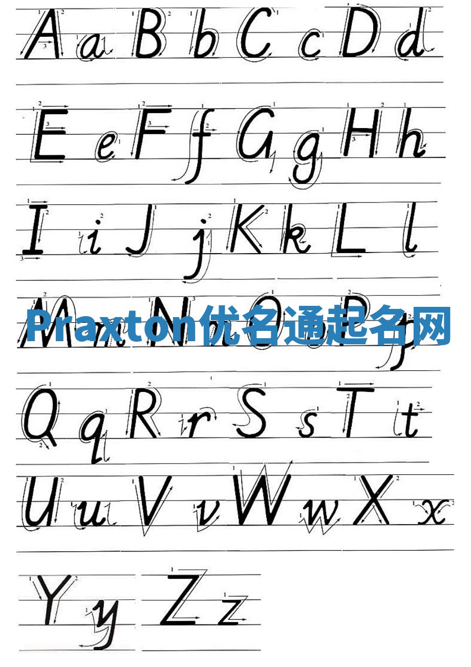 Praxton优名通起名网
