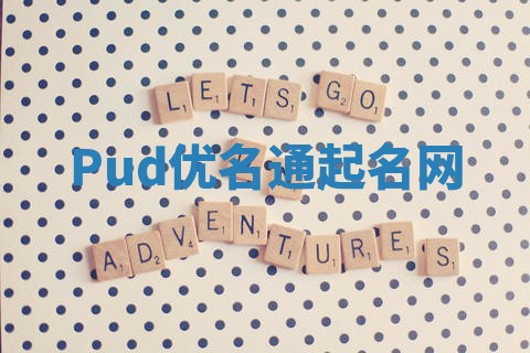 Pud优名通起名网