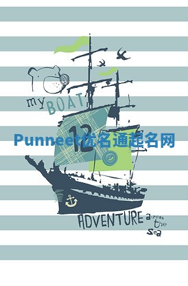 Punneet优名通起名网