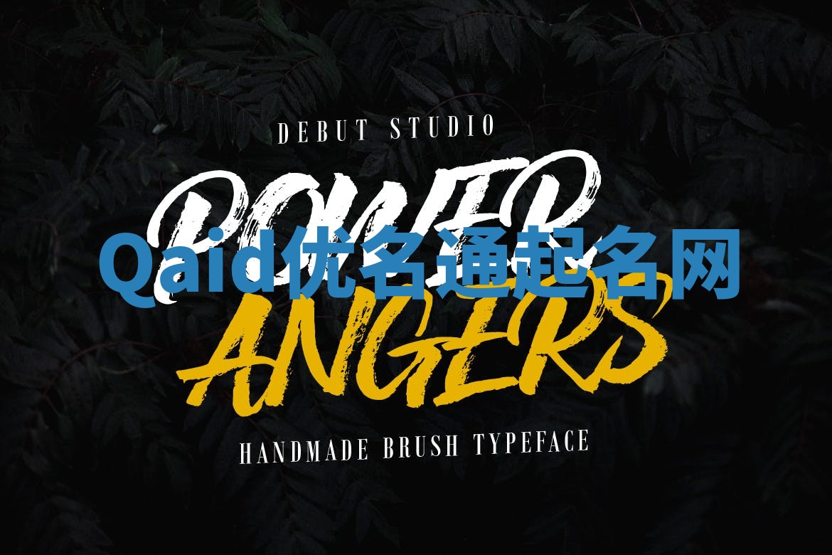 Qaid优名通起名网