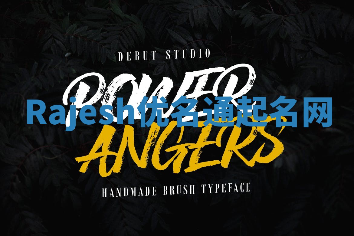 Rajesh优名通起名网