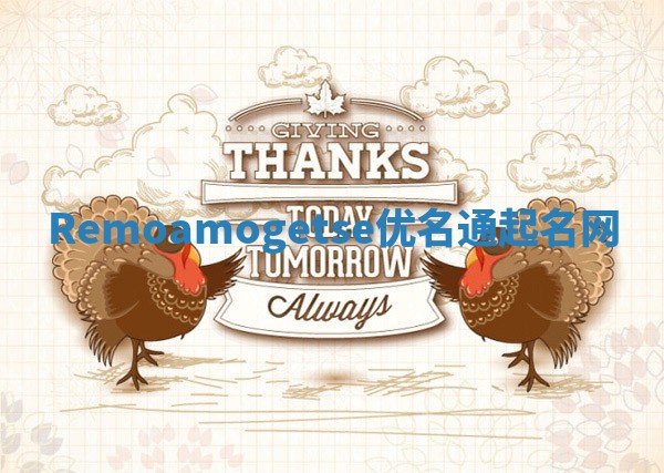 Remoamogetse优名通起名网