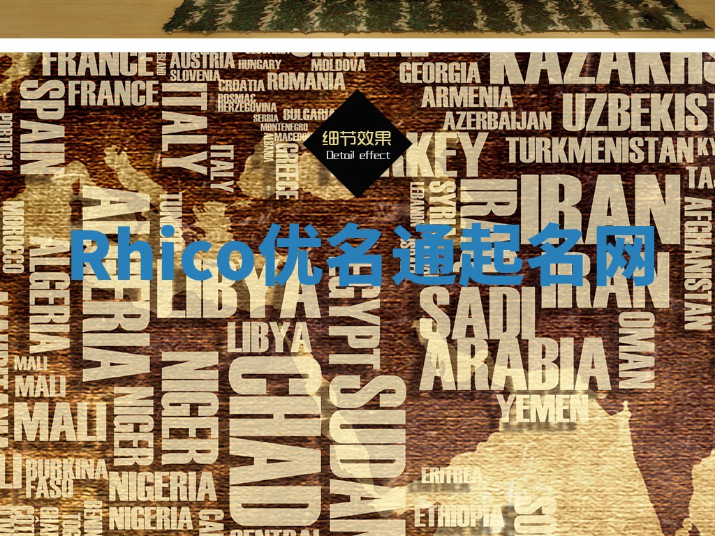 Rhico优名通起名网