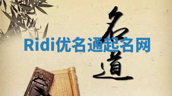 Ridi优名通起名网