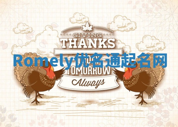 Romely优名通起名网