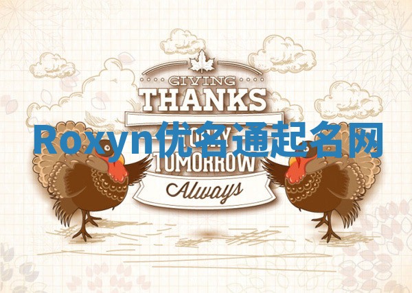 Roxyn优名通起名网
