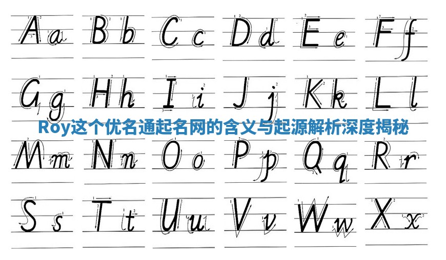 Roy这个优名通起名网的含义与起源解析深度揭秘