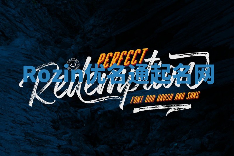 Rozin优名通起名网