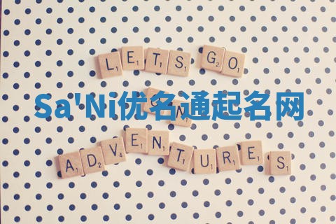 Sa'Ni优名通起名网