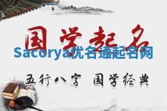 Sacorya优名通起名网