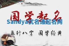 Sandya优名通起名网