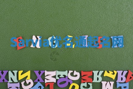 Sarvia优名通起名网