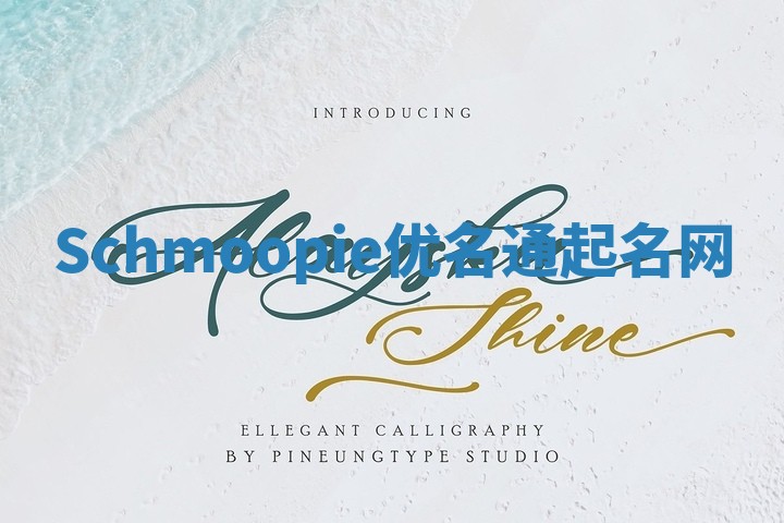 Schmoopie优名通起名网