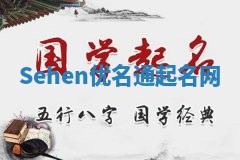 Sehen优名通起名网