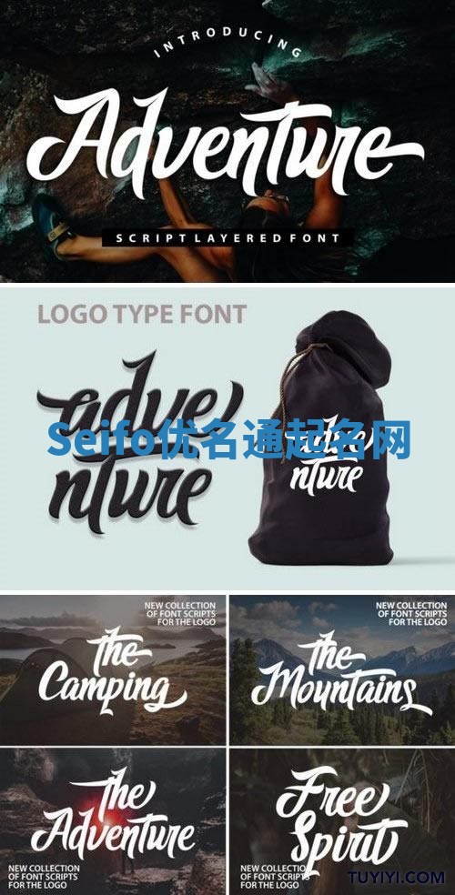 Seifo优名通起名网