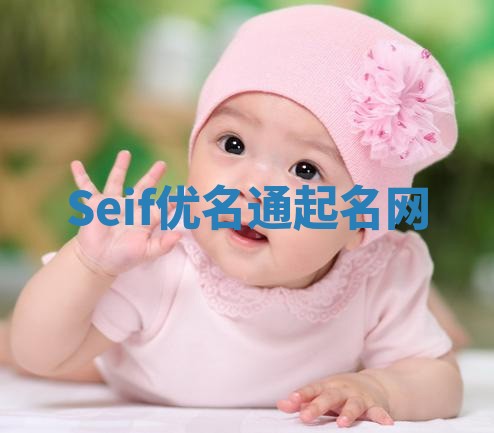 Seif优名通起名网 Seif优名通起名网