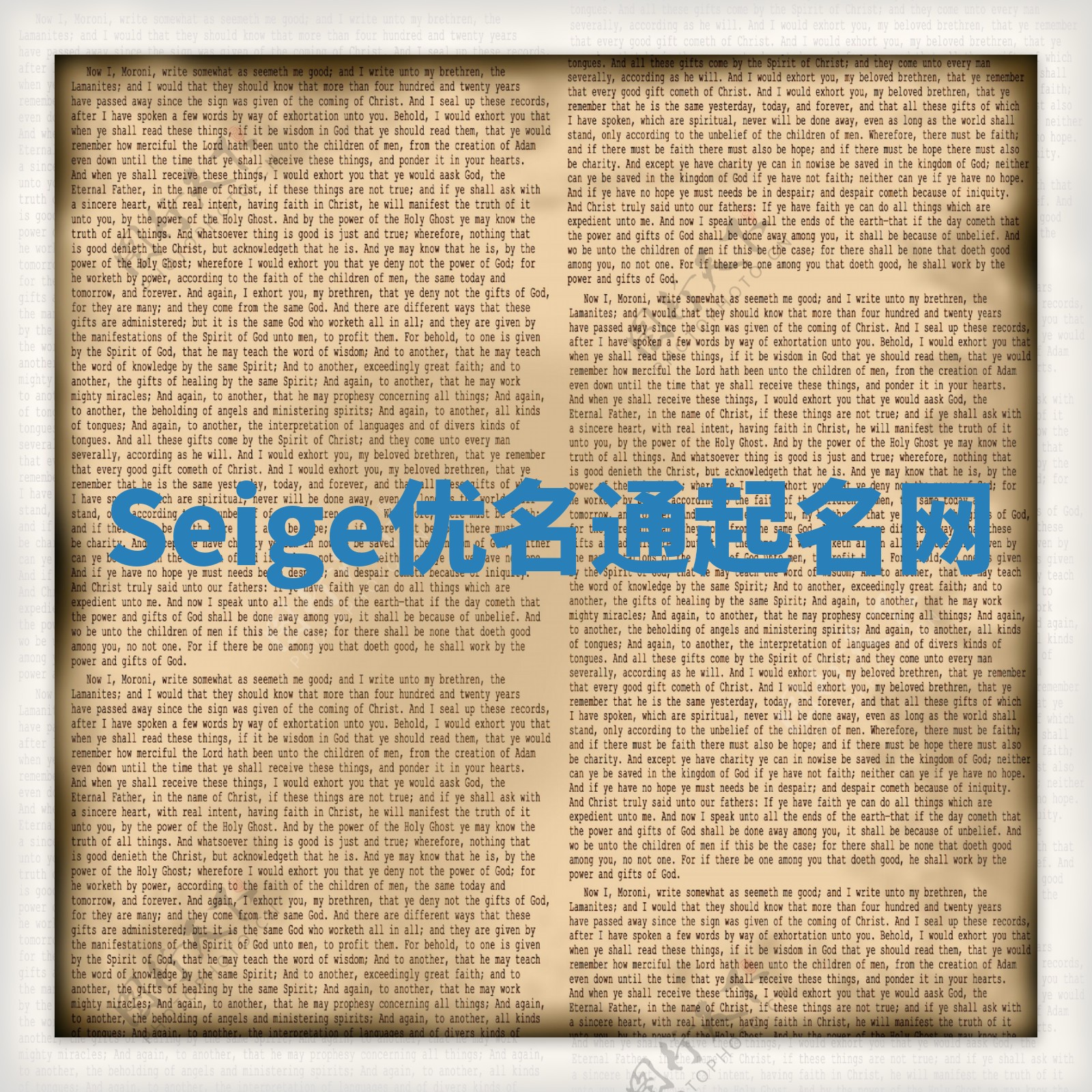 Seige优名通起名网