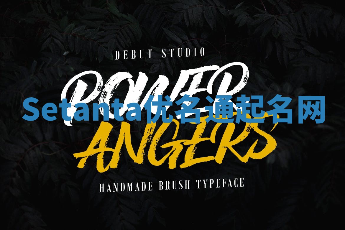 Setanta优名通起名网