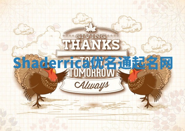 Shaderrica优名通起名网
