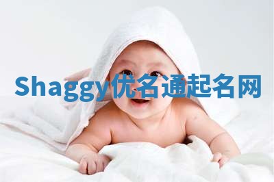 Shaggy优名通起名网
