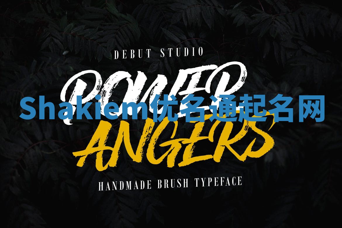 Shakiem优名通起名网