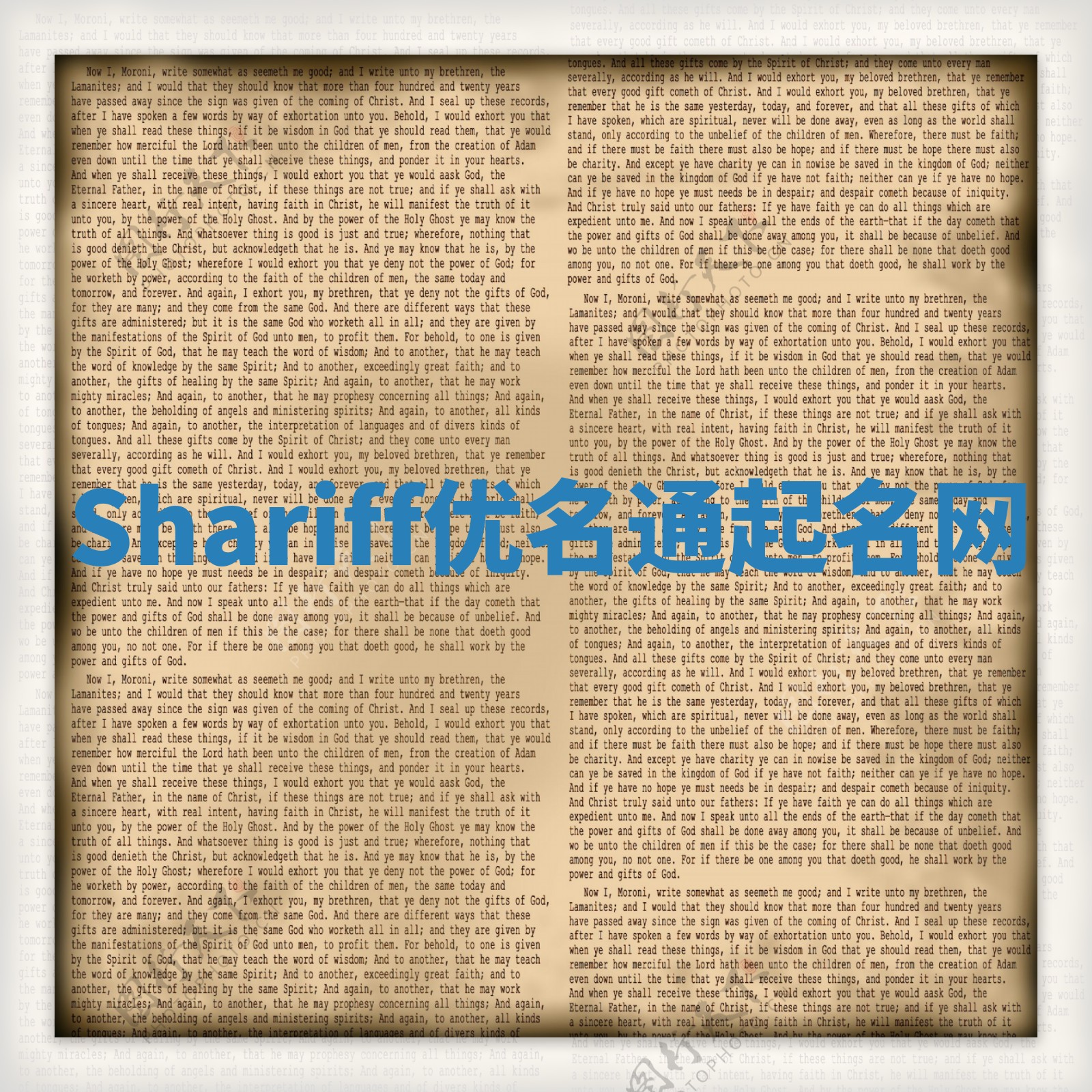 Shariff优名通起名网