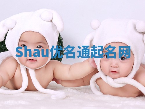 Shau优名通起名网