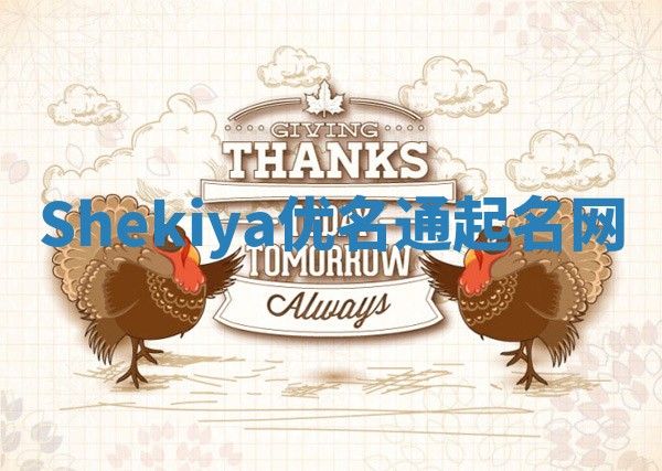 Shekiya优名通起名网