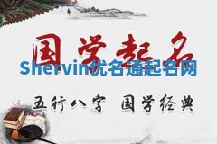 Shervin优名通起名网