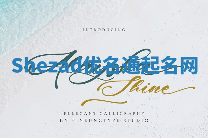 Shezad优名通起名网