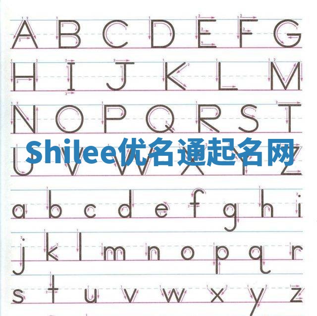 Shilee优名通起名网
