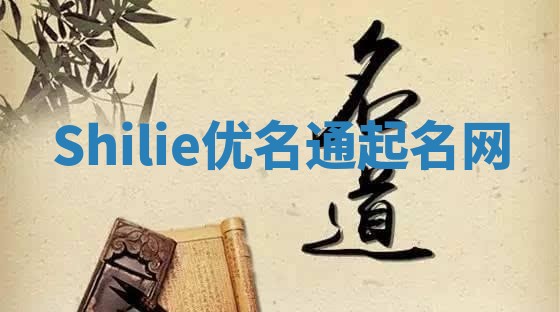Shilie优名通起名网
