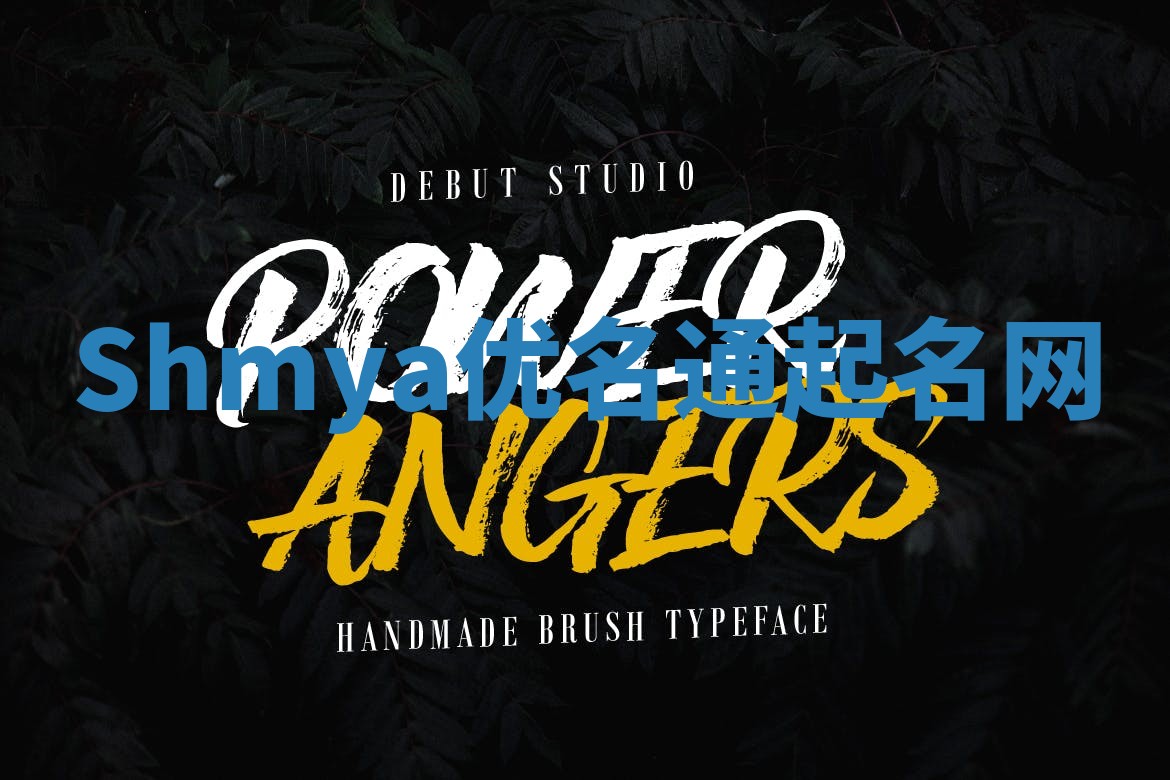 Shmya优名通起名网
