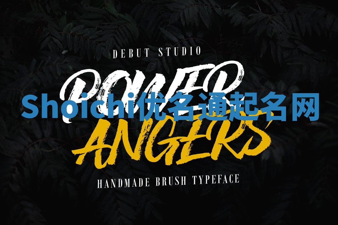 Shoichi优名通起名网