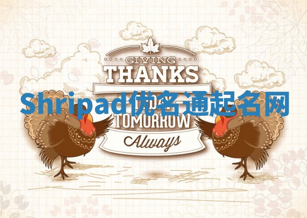 Shripad优名通起名网