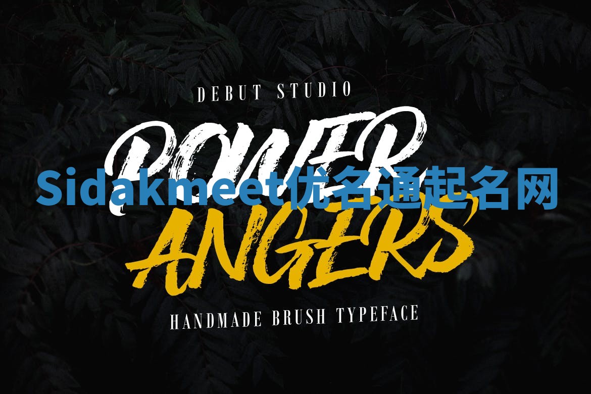 Sidakmeet优名通起名网