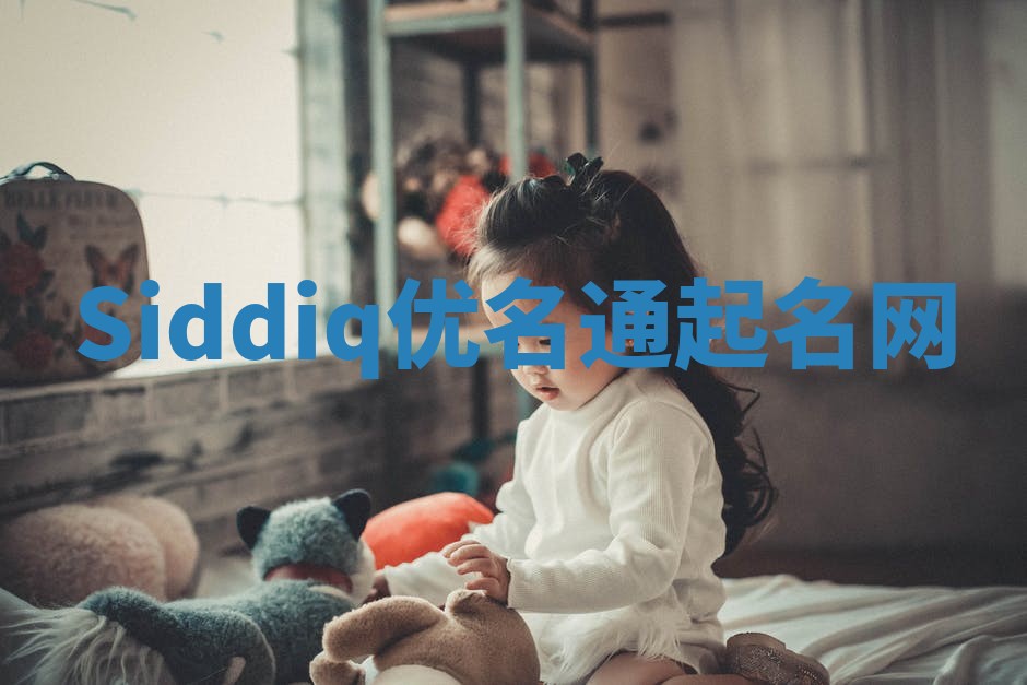 Siddiq优名通起名网