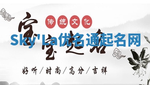 Sky'La优名通起名网